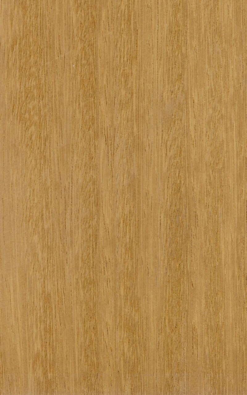 IROKO - Contrecollé - 16(4)*140mm